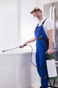 PremiumPest_Home-PestControl-pt31h1l5pm2phimkpgocwhadjtdtb5yzlgde35ww4s